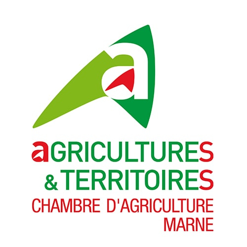 Séminaire entreprise