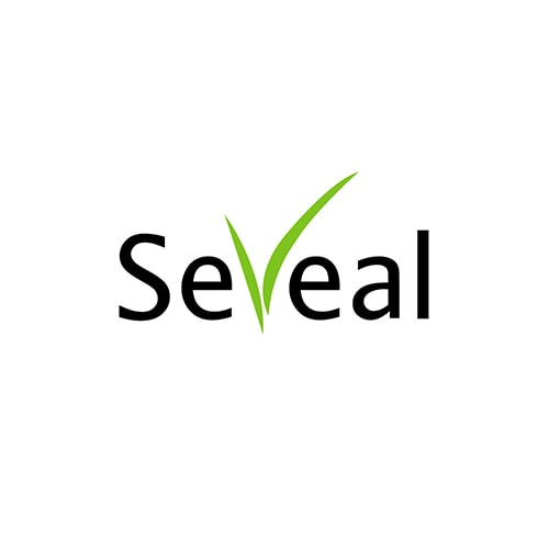 Séminaire entreprise