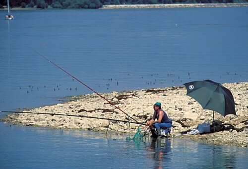peche - Location Lac du Der - Résidence Marina Holyder