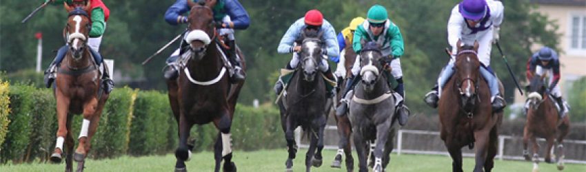 Courses Hippiques