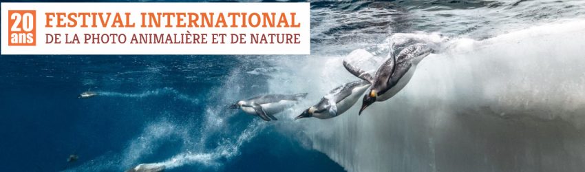 Festival Photo animalière et de nature à Montier-en-Der