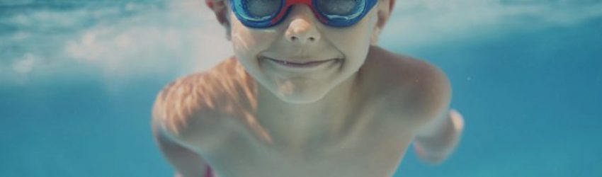 Du nouveau en 2017 à la Marina Holyder